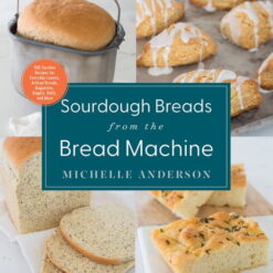 Sourdough Breads from the Bread Machine : 100 Surefire Recipes for Everyday Loaves, Artisan Breads, Baguettes, Bagels, Rolls, and More (Paperback)
